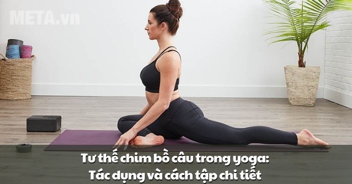 Tư thế chim bồ câu trong yoga Tác dụng và cách tập chi tiết