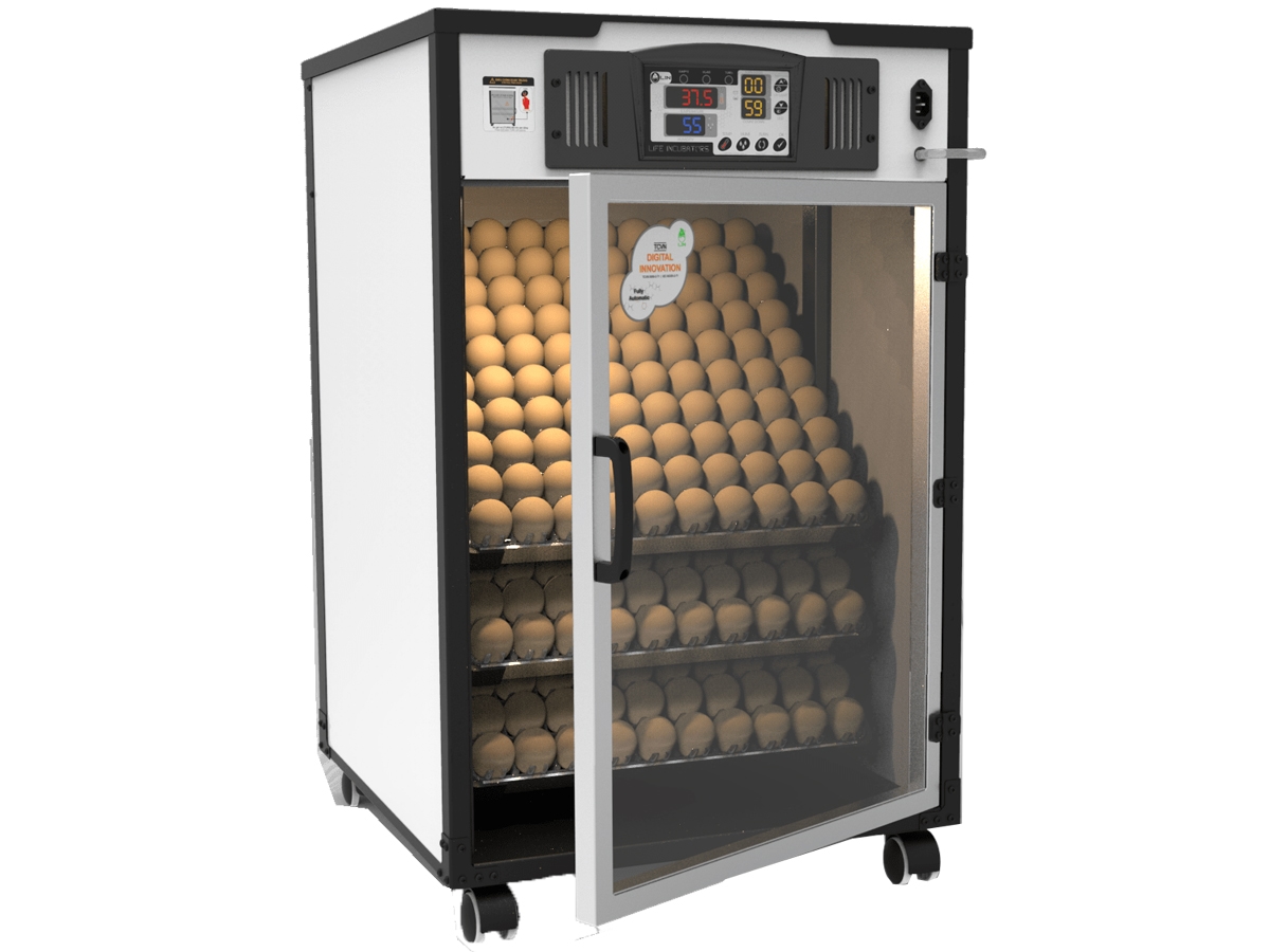 Máy ấp trứng Delta H3 (300 trứng)