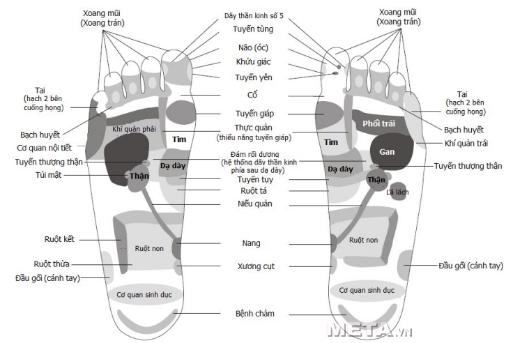 Máy massage chân đa năng Max-648 tác động sâu vào các huyệt đạo