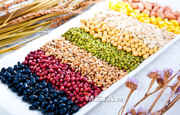 Hướng dẫn sử dụng máy làm rau mầm KG 261 và KG 262