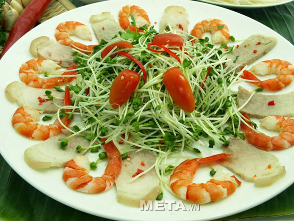 Hướng dẫn sử dụng máy làm rau mầm KG 261 và KG 262