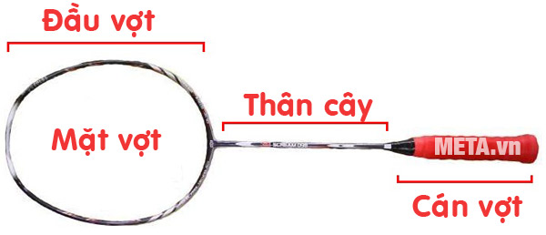 Thành phần vợt cầu lông