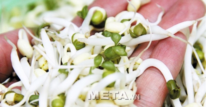 Hướng dẫn sử dụng máy làm giá đỗ sạch đa năng GV-102 - Phiên bản tự động