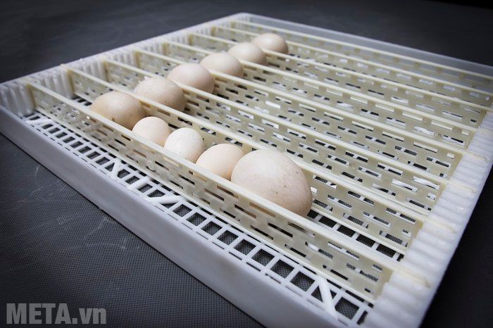 Máy áp trứng có chức năng đảo trứng tự động