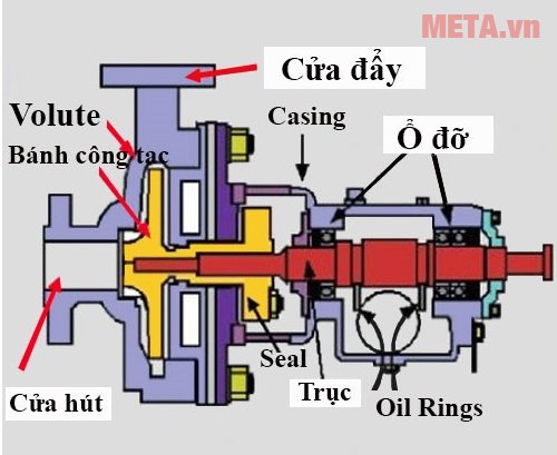 Cấu tạo máy bơm nước ly tâm 