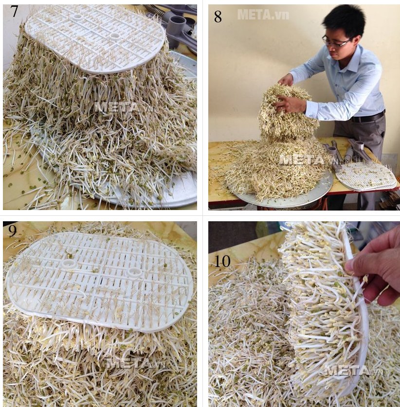 Máy làm giá đỗ GV-102 công nghiệp dùng cho các hộ buôn bán giá đỗ 