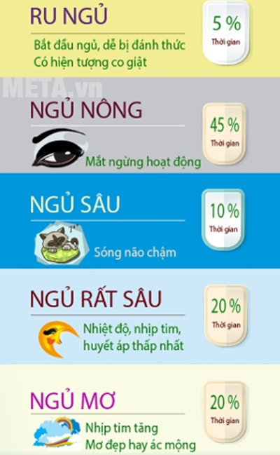 Các thiết bị sẽ ghi lại 5 giai đoạn của giấc ngủ
