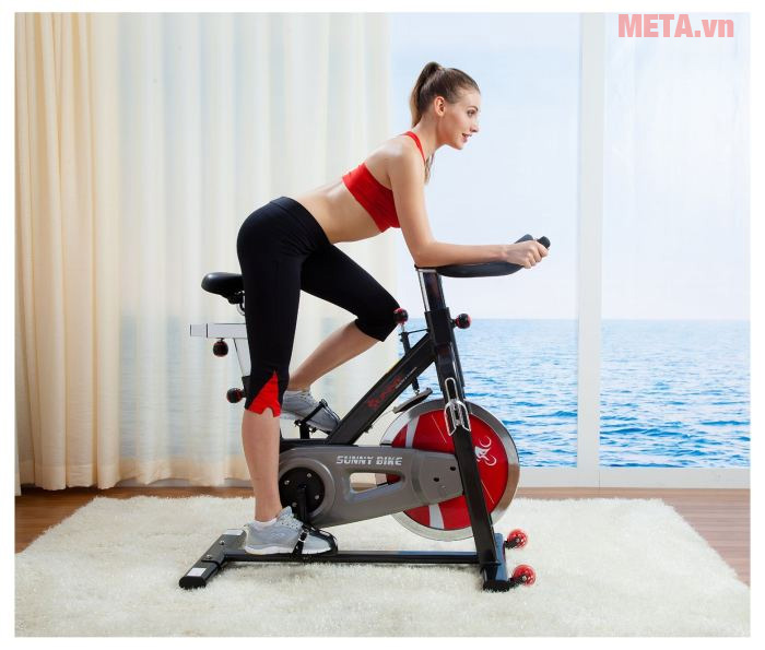 Hiện nay trên thị trường những xe đạp tập được thiết kế cho gia đình rất phổ biến