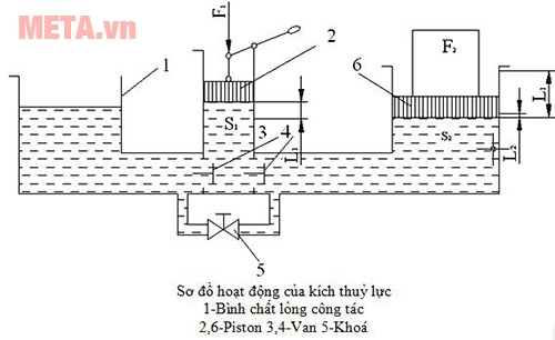 Mô hình về cấu tạo và nguyên lý hoạt động của con đội