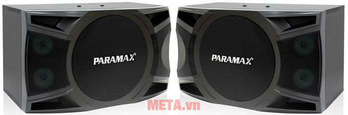 Loa karaoke Paramax P1000