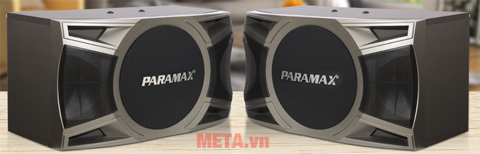 Loa karaoke Paramax D-1000