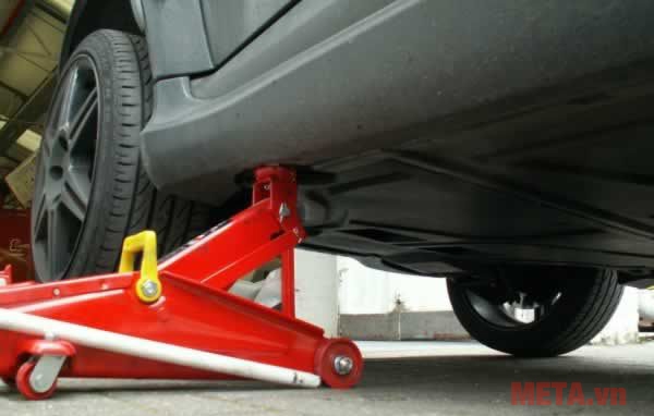 Hình ảnh hoạt động của kích cá sấu