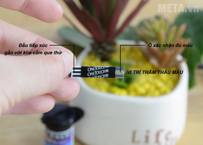 Cấu tạo que thử máu 
