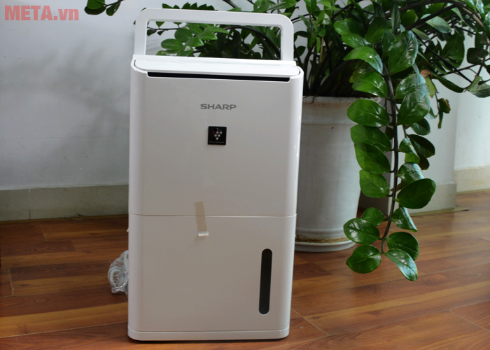 Máy lọc không khí gia đình