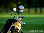 Những dụng cụ cho người mới chơi golf