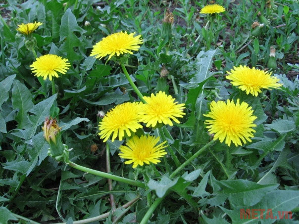 Uống 2 lít nước trong quá trình kích sữa