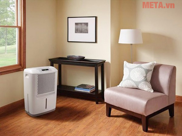 Máy hút ẩm là lựa chọn lý tưởng khi trời nồm