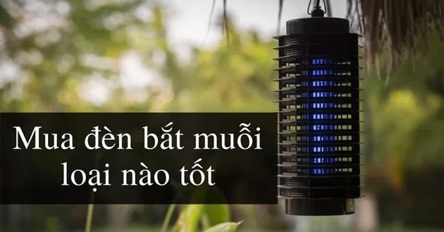 đèn bắt muỗi