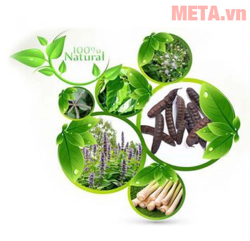 Các thành phần của dầu gội