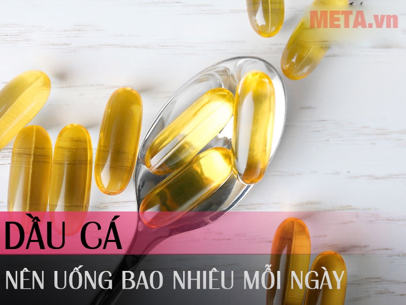 H ng d n c ch u ng Omega 3 1000mg cho ng i m i s d ng META.vn