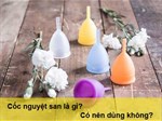 Cốc nguyệt san là gì? Có nên dùng cốc nguyệt san không?