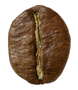 Hạt cà phê Robusta có hình hơi tròn, không dài, rãnh thẳng
