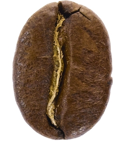 Hạt cà phê Arabica có hình dang bầu dục, rãnh sâu, rãnh có hình chữ S