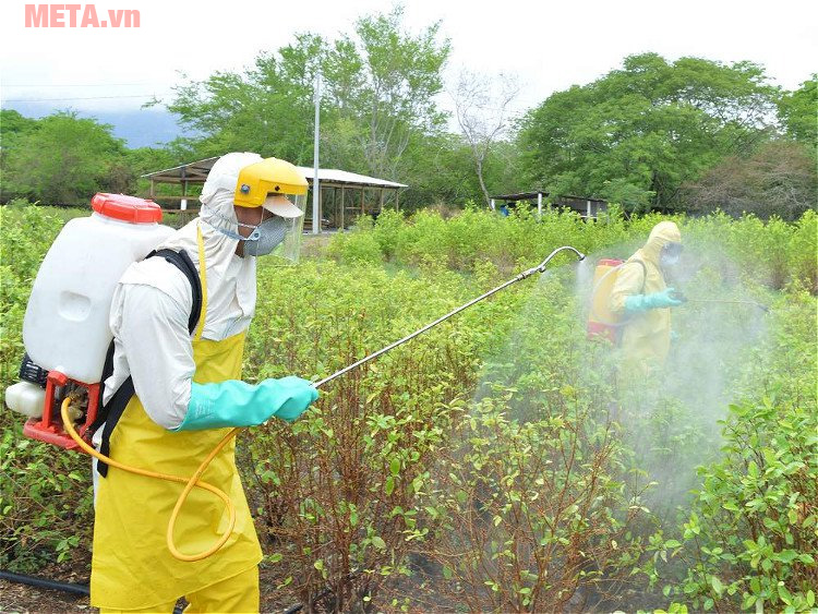 Cách chọn mua máy phun thuốc trừ sâu tốt nhất