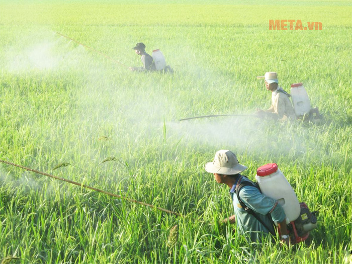 Cách chọn mua máy phun thuốc trừ sâu tốt nhất
