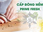 Ngăn đông mềm là gì? Tìm hiểu ngăn cấp đông mềm trên các dòng tủ lạnh phổ biến hiện nay