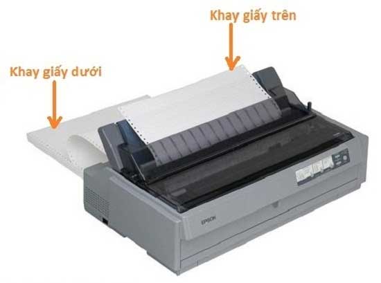Máy in kim Epson LQ 310 với hai khay giấy: trên và dưới