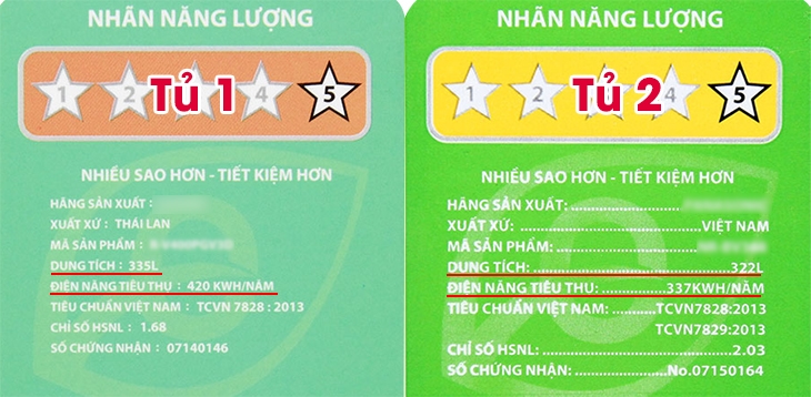 Tem năng lượng