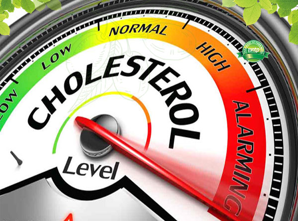 Cholesterol cao: Nguyên nhân, triệu chứng, điều trị và cách phòng tránh