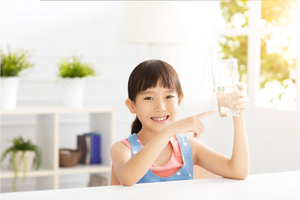 máy lọc nước Geyser 