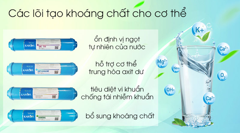 máy lọc nước Karofi KSI80
