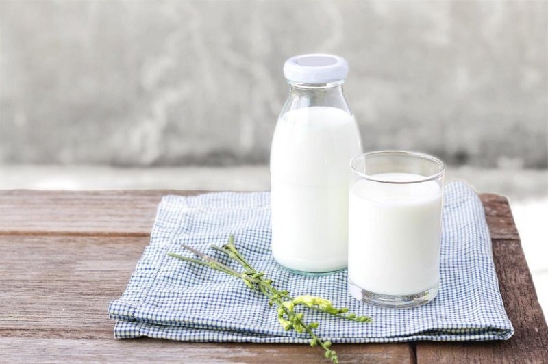 Sữa giúp giảm sự hấp thụ cồn vào cơ thể, chống say bia, rượu