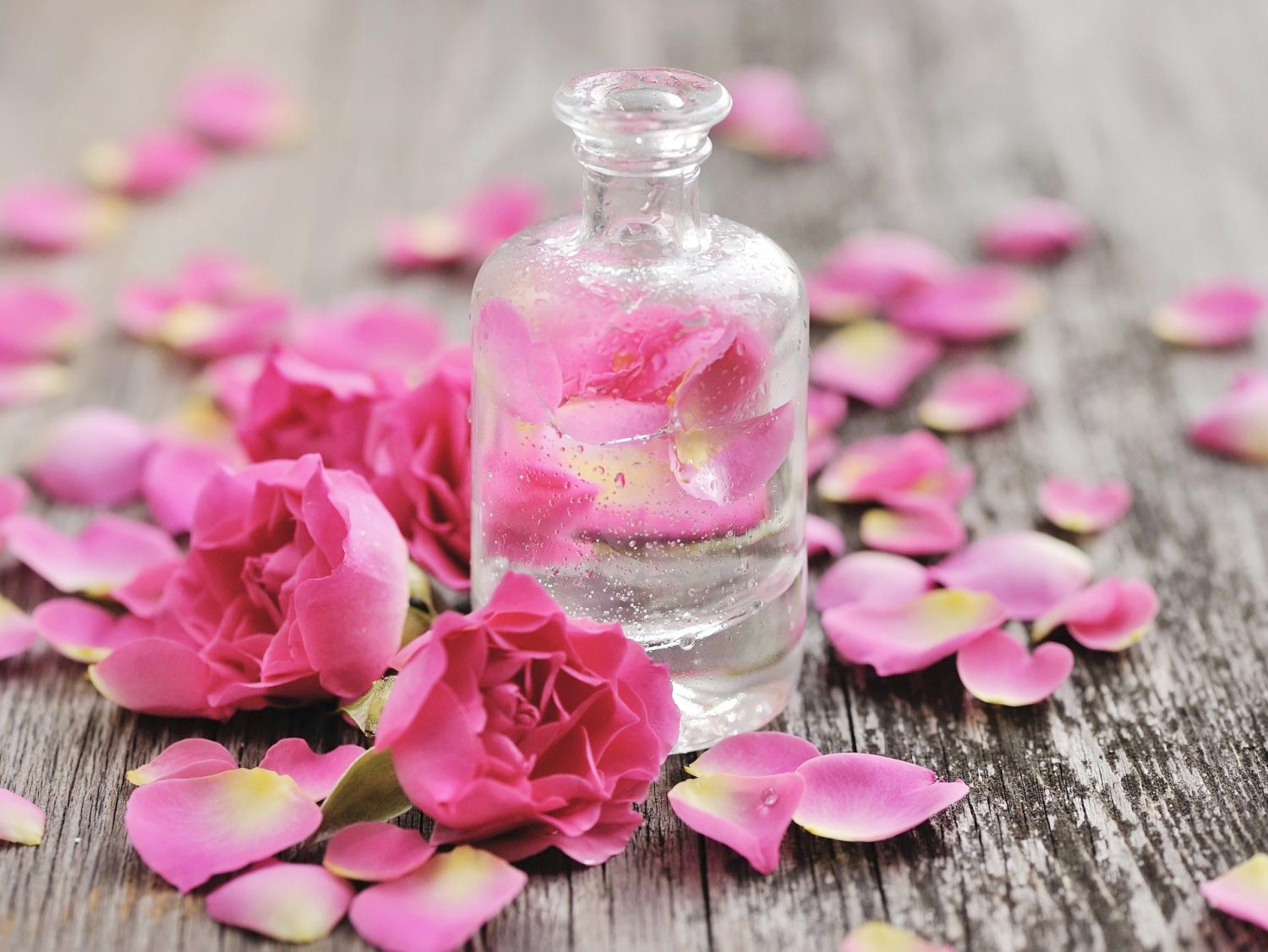 Trị bọng mắt bằng nước hoa hồng