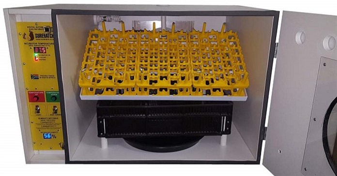 Những lỗi thường gặp khi sử dụng máy ấp trứng