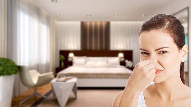 Vì sao phòng ngủ có mùi hôi? Bạn có biết nguyên nhân là gì không?