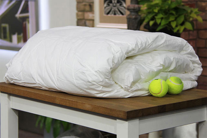 Cho bóng tennis vào trong 30 phút sấy khô