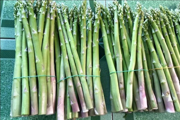 Măng tây làm món gì ngon? Cách sơ chế và chế biến măng tây giòn ngon