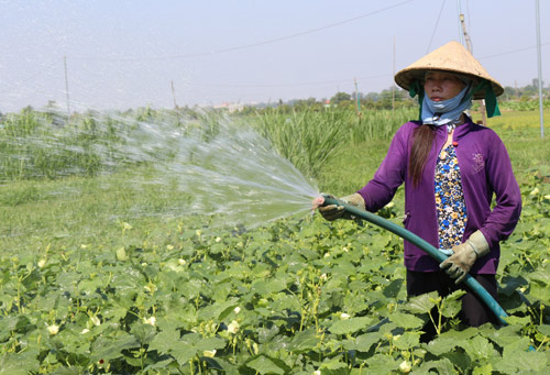 Độ mặn của nước là gì?