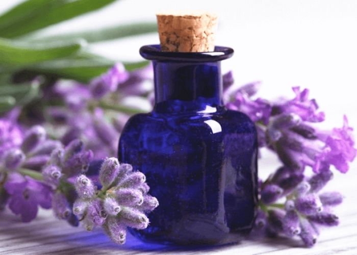 Tinh dầu oải hương có tác dụng gì?