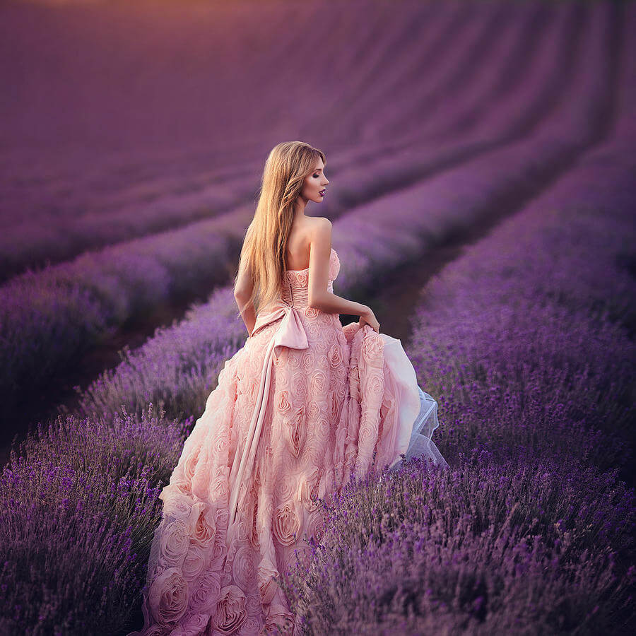 Lấy hình nền hoa lavender làm \