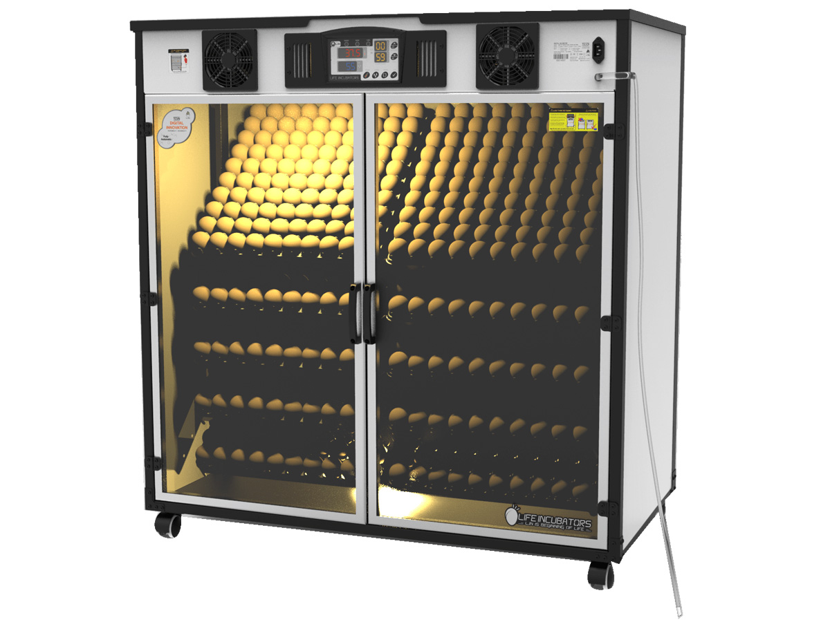 Máy ấp trứng Delta H10 (1000 trứng)