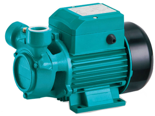 Bơm nước dân dụng cánh đồng Lepono AQM75