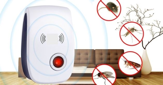 Có những rủi ro nào khi sử dụng máy đuổi chuột trong nhà? 
