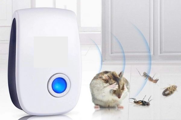 Tầm đuổi chuột của các loại máy đuổi chuột sóng âm thường là 50m2
