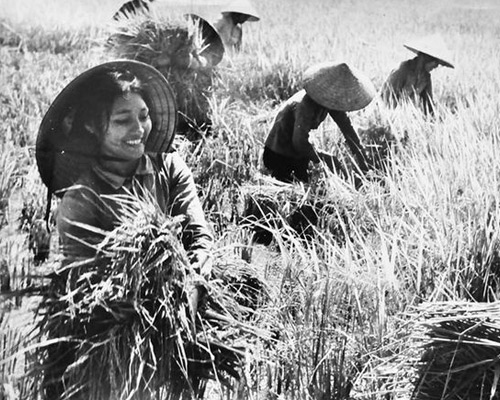 Hình ảnh người phụ nữ Việt Nam chăm chỉ, cần cù