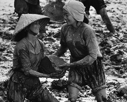Phụ nữ Việt Nam giỏi việc nước đảm việc nhà